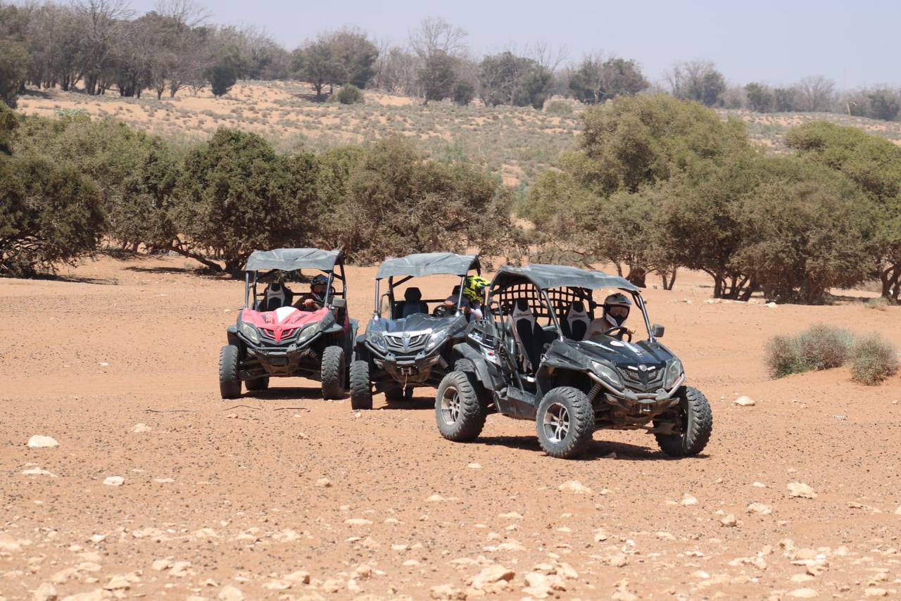 Buggy